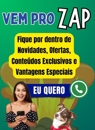 Mini 1 - comunidade whatsapp