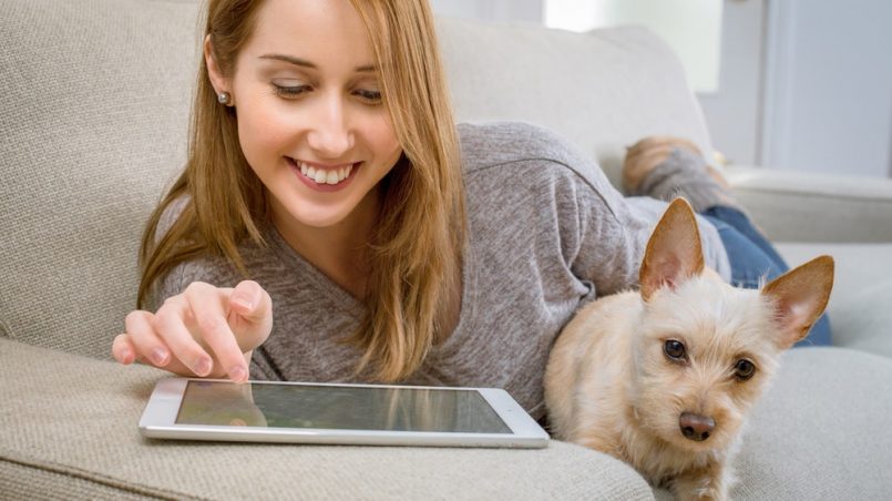 Redes sociais para pet shop: conheça as melhores estratégias