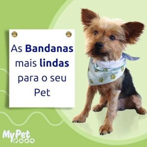 Bandana com 20 unid.