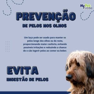 Laço Pet 19 c/ 30 un. - para Banho & Tosa