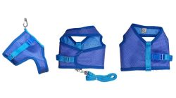 Peitoral Colete Queops Joy N°00 à N°04 - p/ Cães