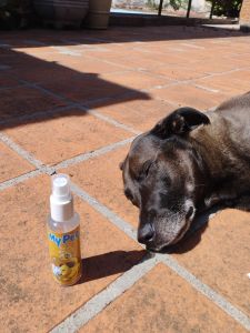 Perfume My Pet Care Inspiração 120ml para Cães e Gatos