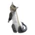 Roupa Cirúrgica, Pós-Cirurgia, Pós-Operatório para Gatos Tecido Cotton