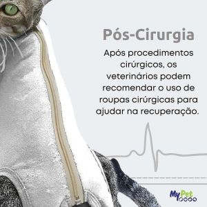 Roupa Cirúrgica, Pós-Cirurgia, Pós-Operatório para Gatos Tecido Cotton